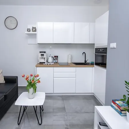 Apartment Ap 12 Czestochowa