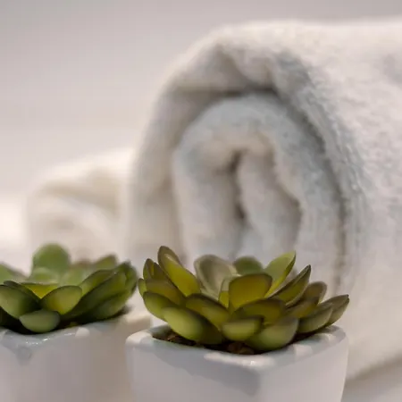 Ap 12 צ'סטוצ'ובה