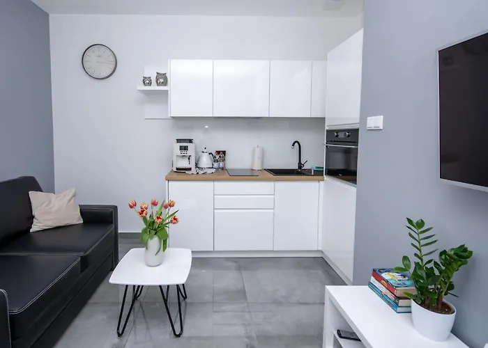 דירה Ap 12 צ'סטוצ'ובה