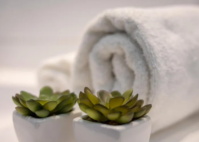 Ap 12 צ'סטוצ'ובה